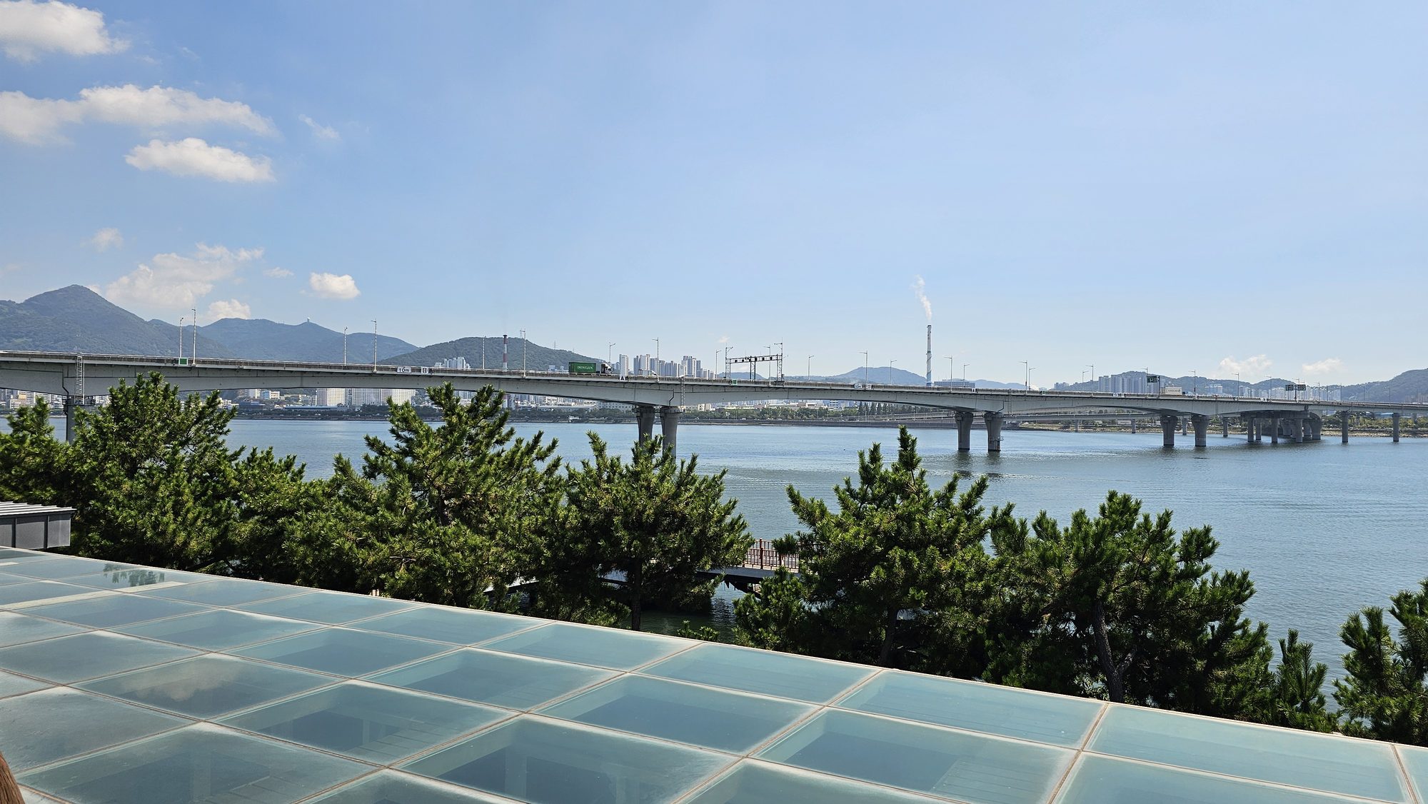 The Nakdong estuary and bridge, seen on arrival