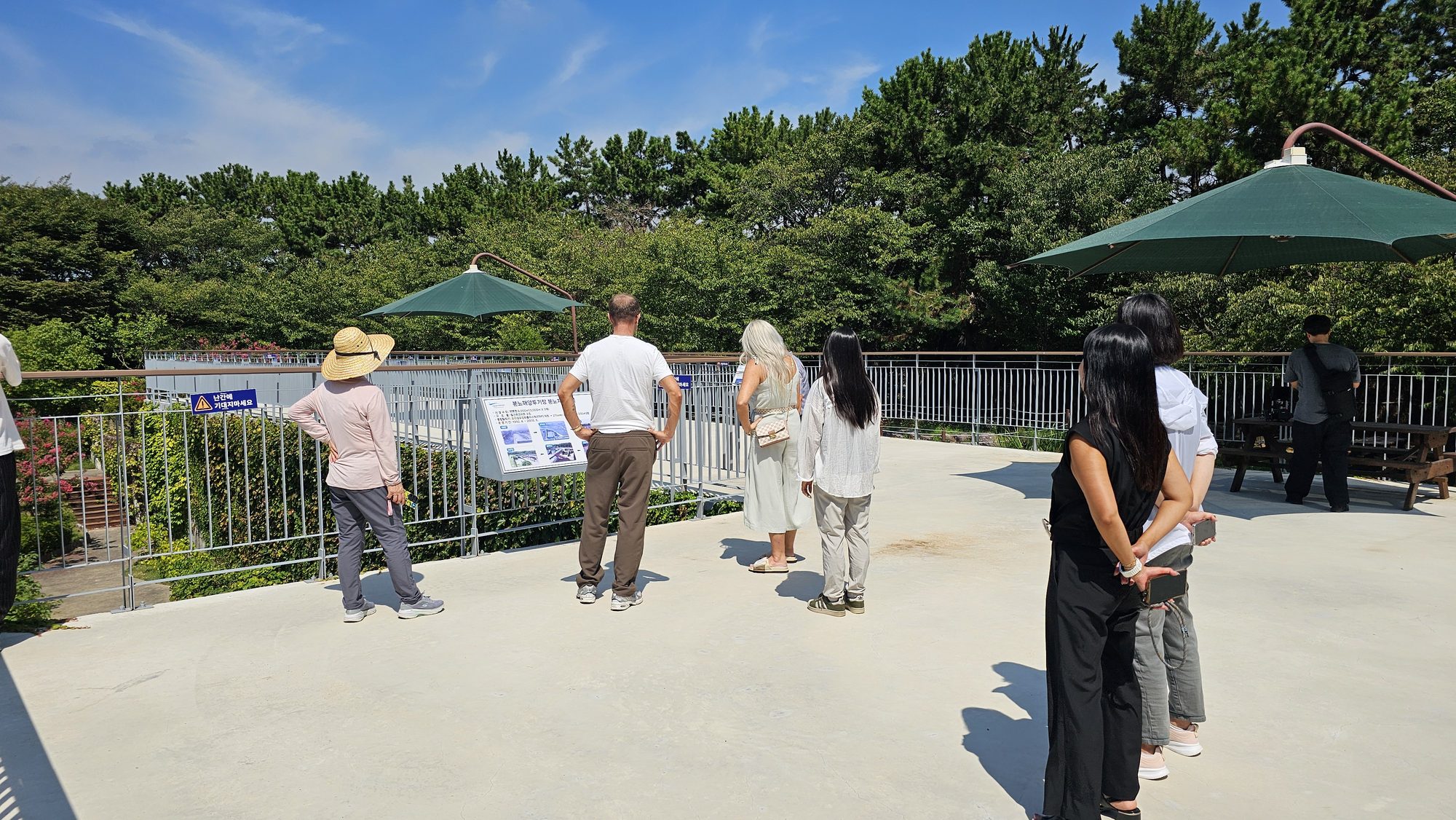 A small group of guests at the wetland overlook
