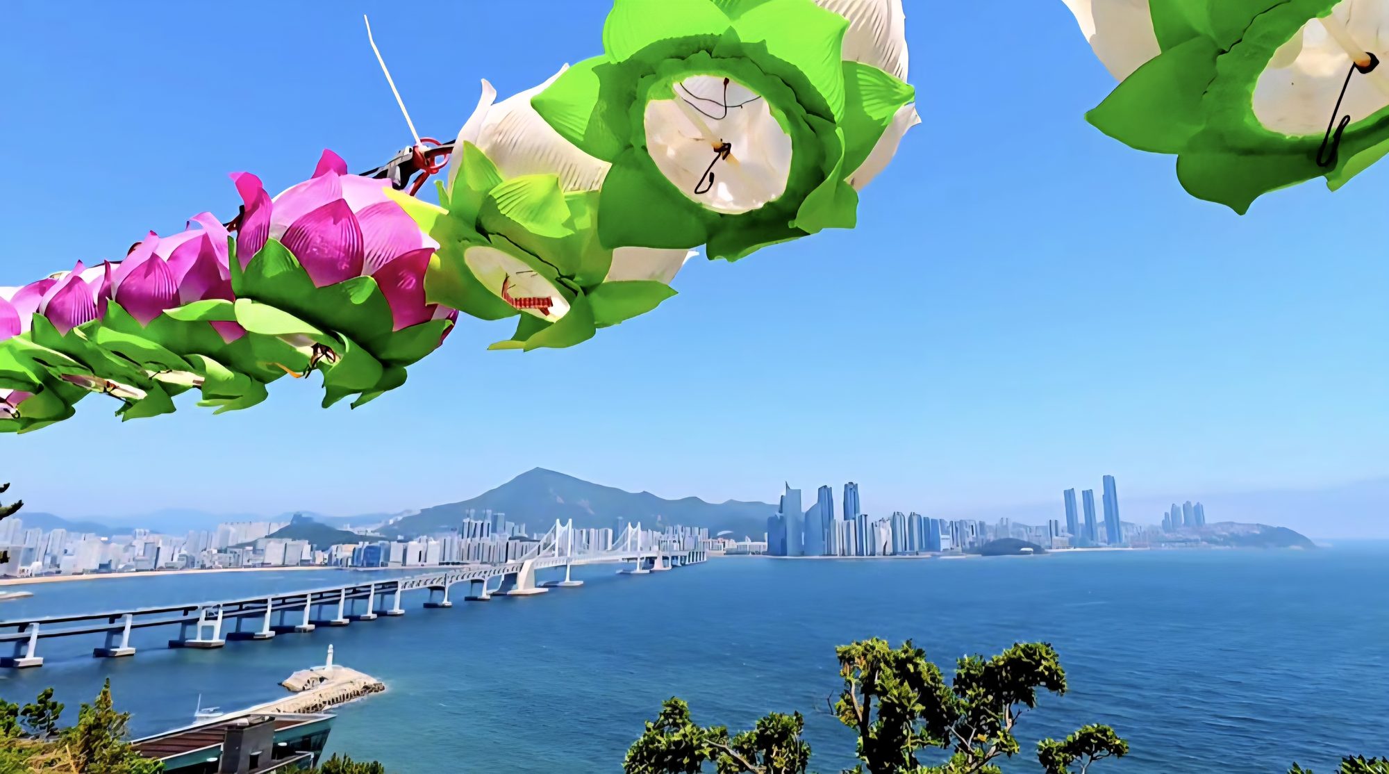 Lotus lanterns strung above the coastal path near the hillside temple